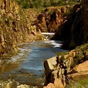 Meet your Posher, Rick